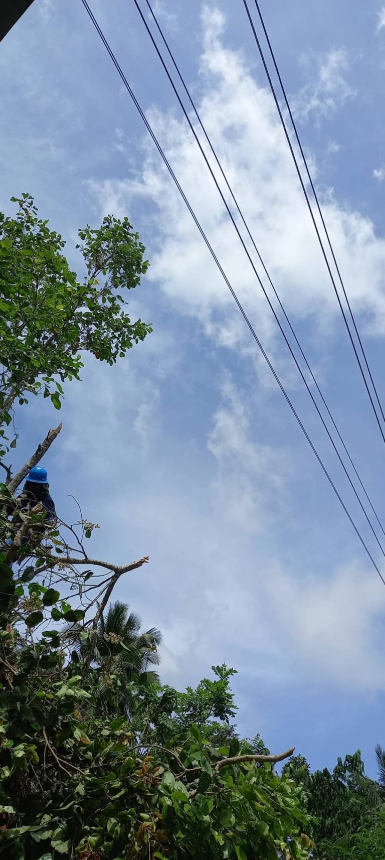 image_TFQuezon_Tagdao_001