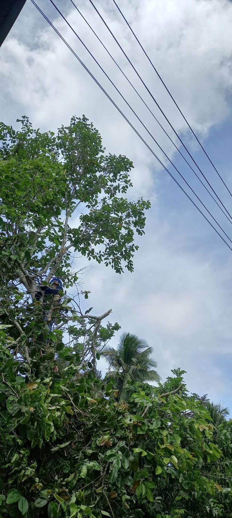 image_TFQuezon_Tagdao_002