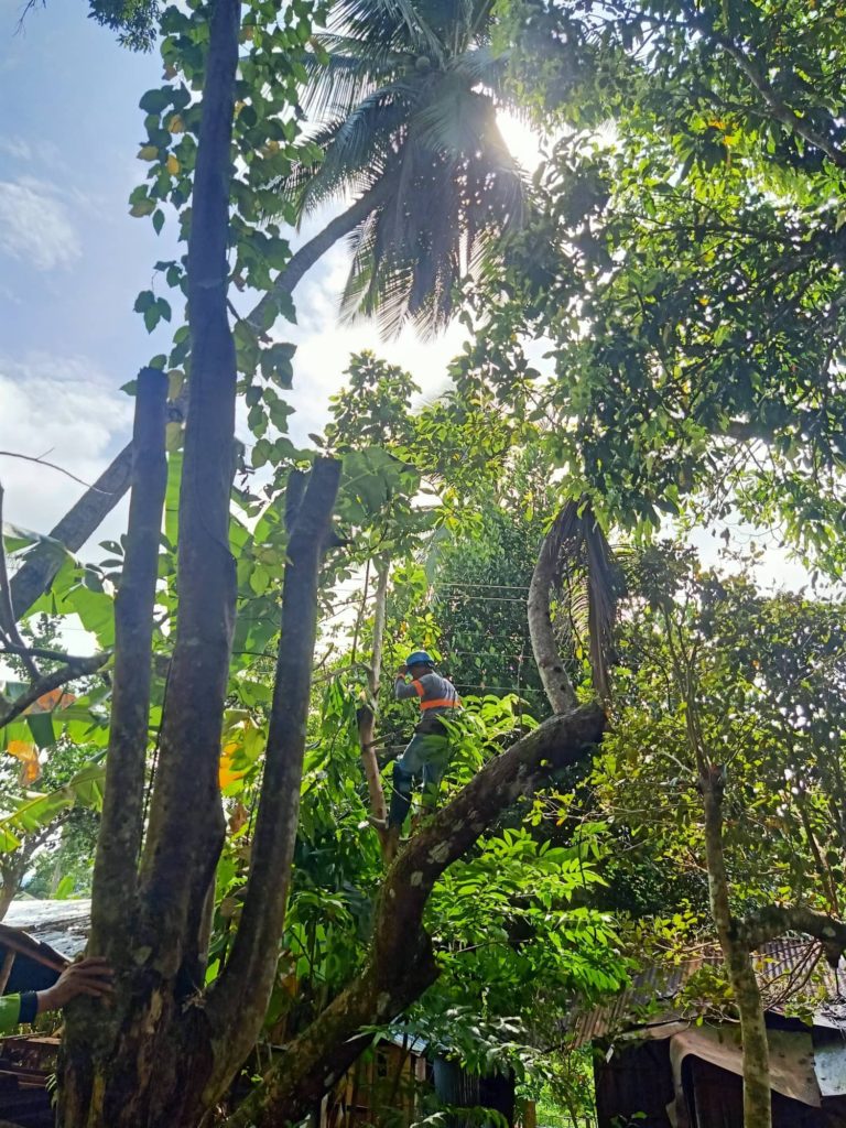 image_TFQuezon_Tagdao_011