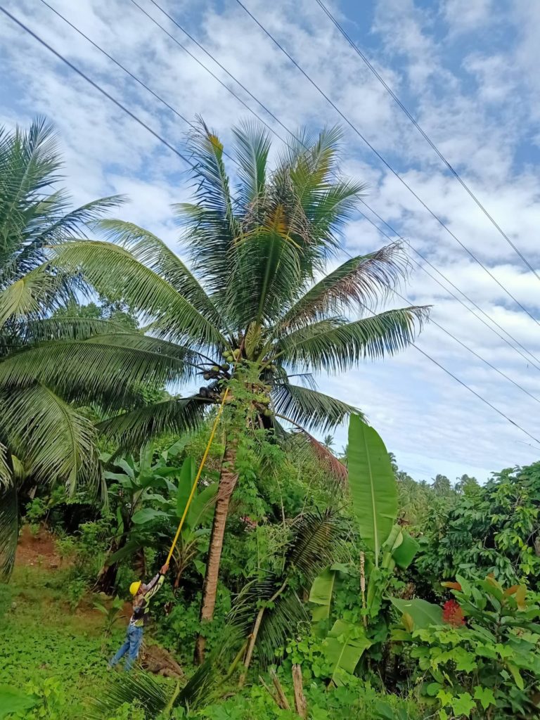 image_TFQuezon_Tagdao_015