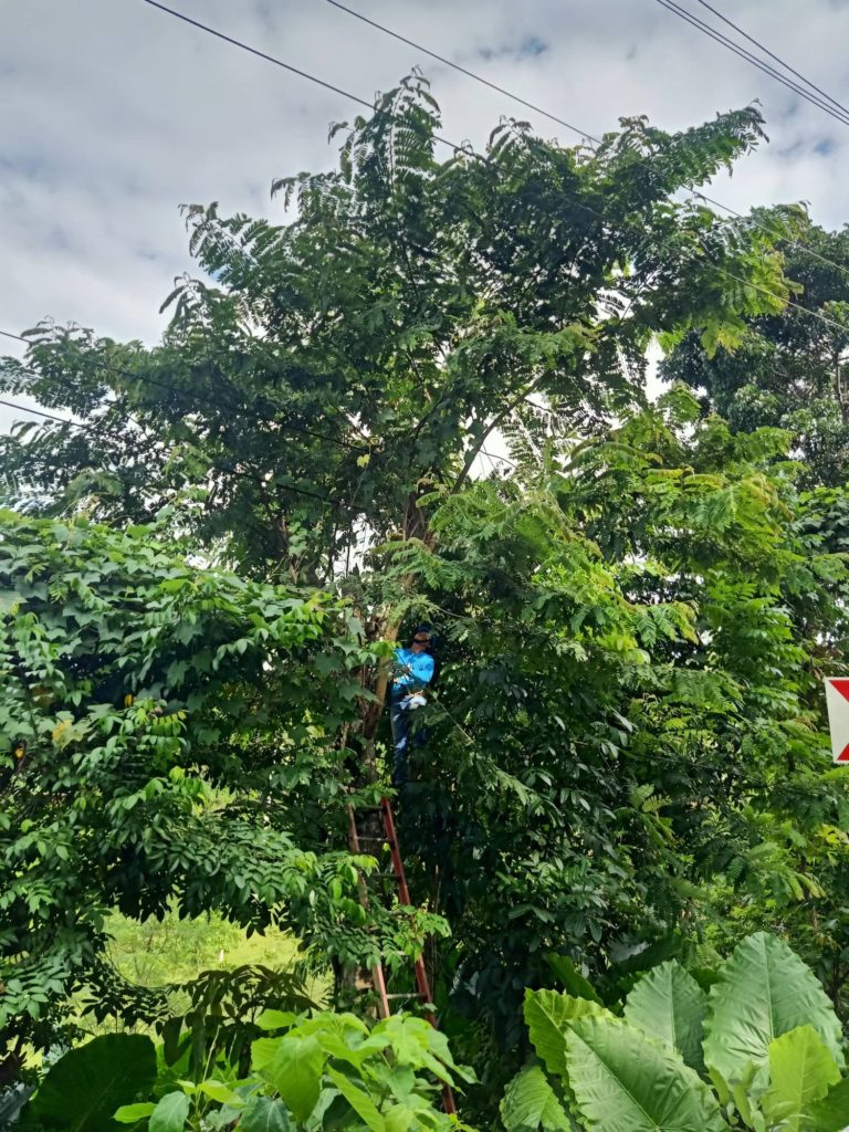 image_TFQuezon_Tagdao_018