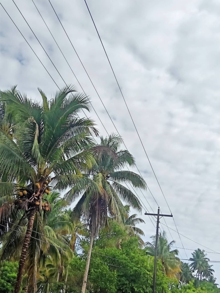 image_TFQuezon_Tagdao_022