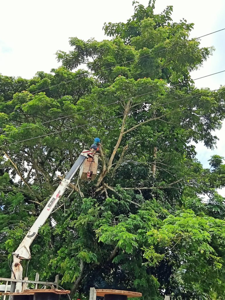 image_TaskForceQuezon_018