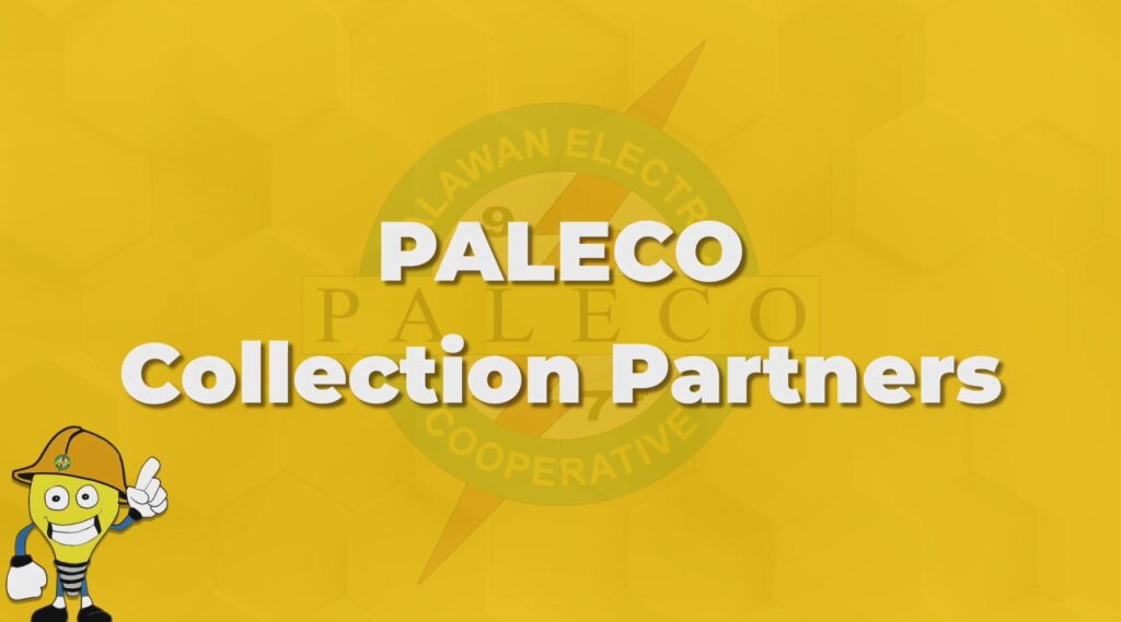 PALECO COLLECTION PARTNERS