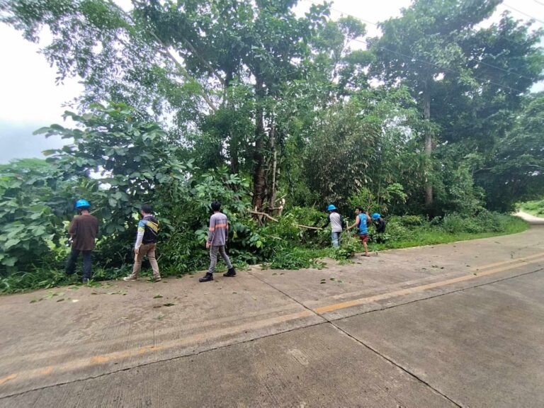 TARBIANGAN/BAYANIHAN SA SITIO MARANAT AT SITIO CANDIZ, BGY. BACUNGAN