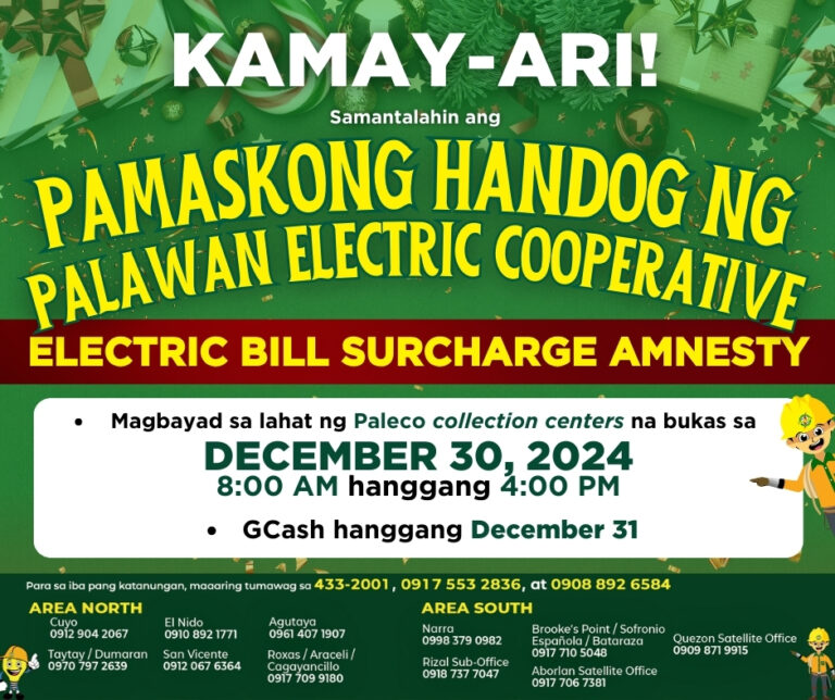 ELECTRIC BILL SURCHARGE AMNESTY