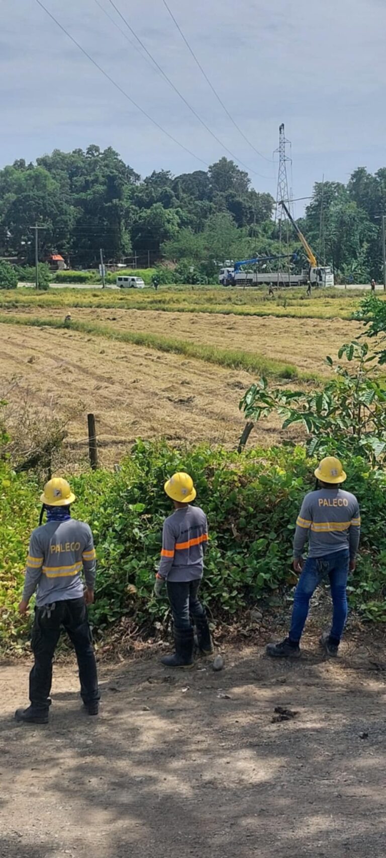 WARRIORS OF LIGHT IN ACTION: Pagtutulungan ng mga lineworker mula sa Paleco at NPC upang magtayo ng kapalit ng bumagsak na dalawang transmission line structure ng NPC sa Brgy. Maasin, Brooke’s Point.